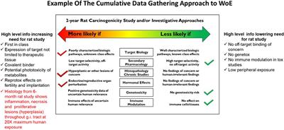 Developing a pragmatic consensus procedure supporting the ICH S1B(R1) weight of evidence carcinogenicity assessment